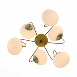 Светильник потолочный Evoluce Acini SL717.202.06