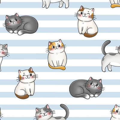 Котики
