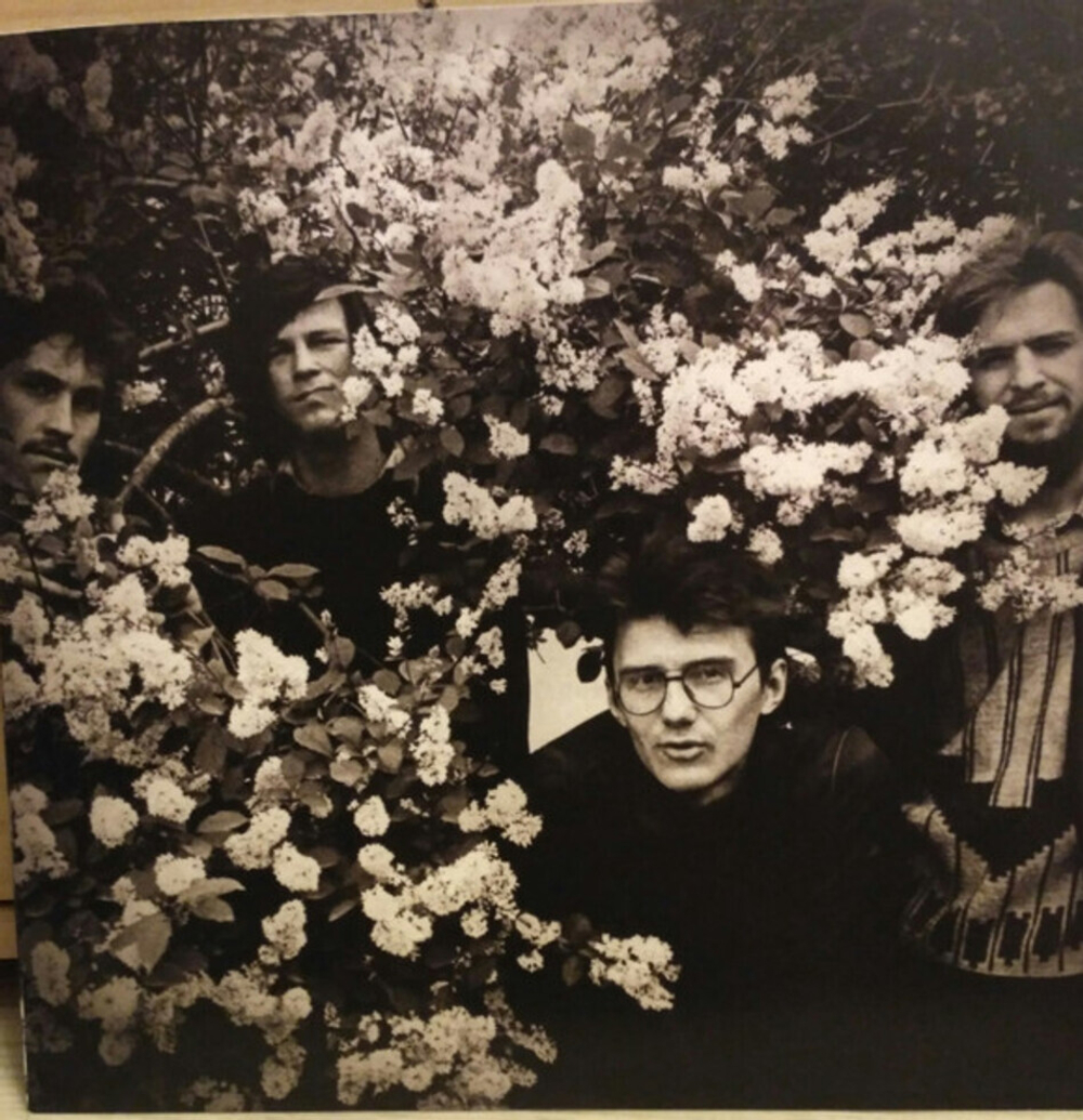 Ноль / Созрела Дурь (Limited Edition)(LP)