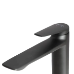 Смеситель Royce Pro для раковины (RCM-120502BL)