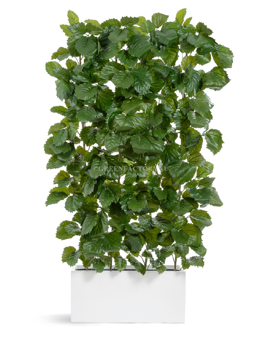 Кашпо TREEZ Effectory - серия Gloss - Низкий узкий прямоугольник - Белый глянцевый лак