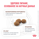 Сухой корм Royal Canin GASTROINTESTINAL для взрослых собак при расстройствах пищеварения 15кг
