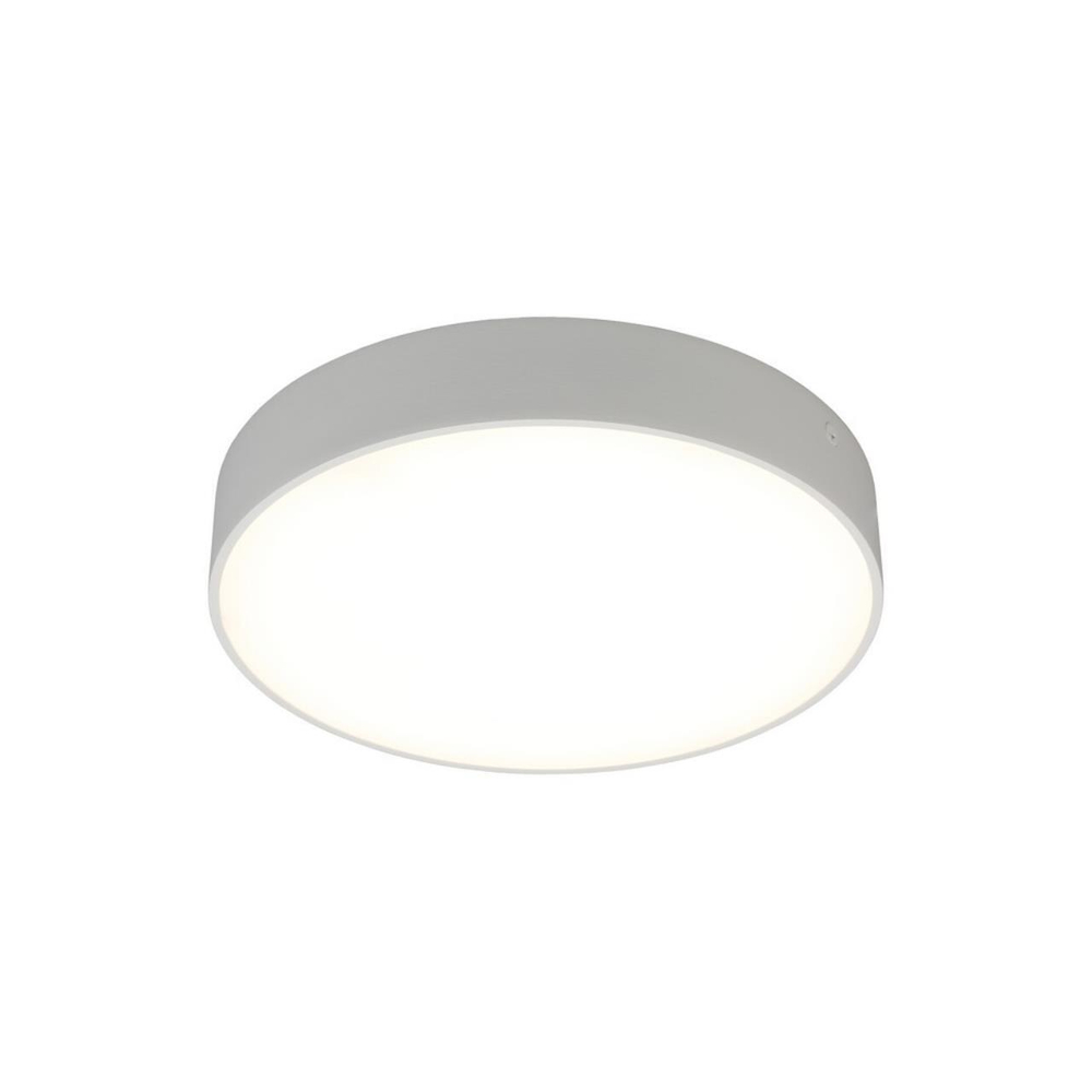 Потолочный светодиодный светильник Aployt Evon APL.0114.09.24