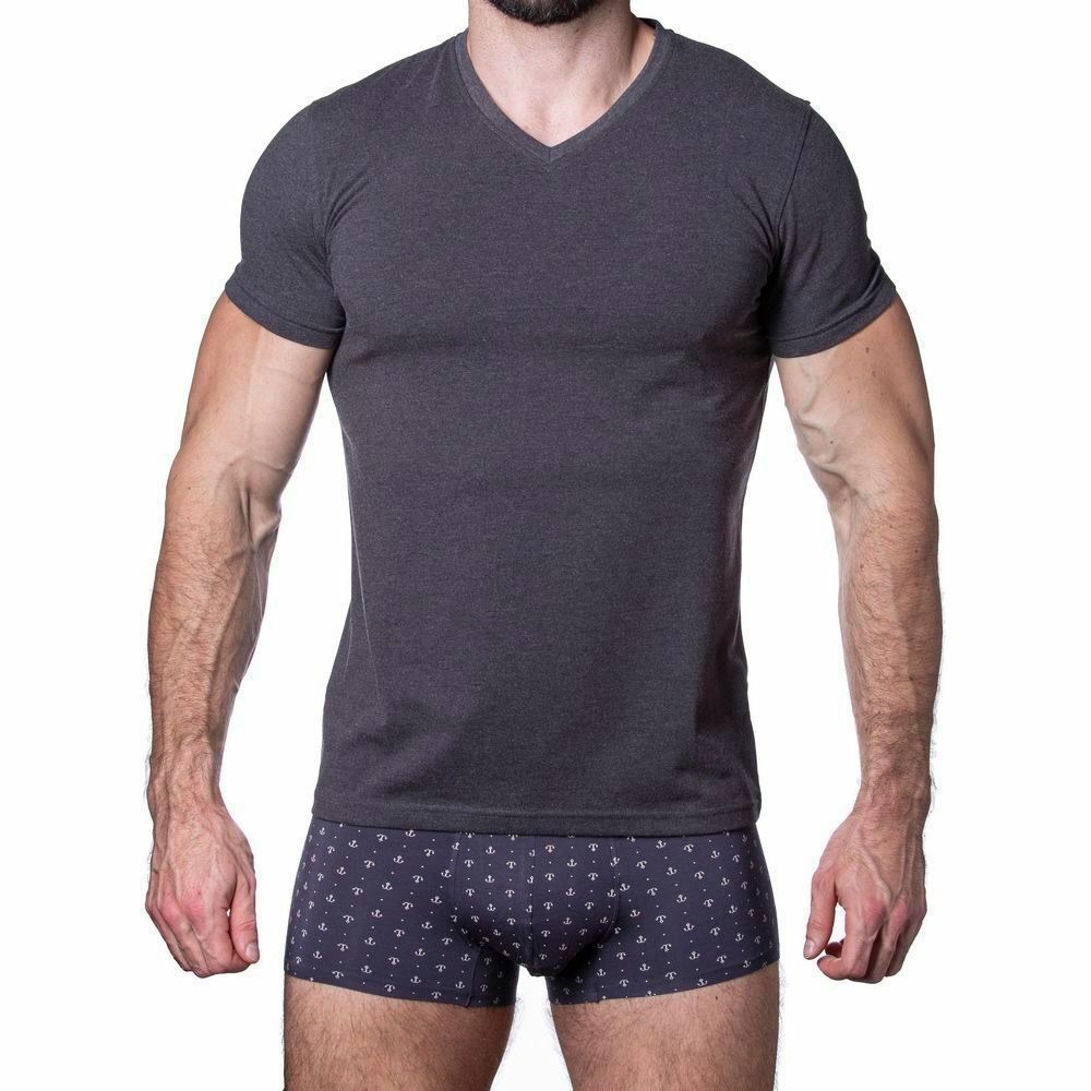 Мужская футболка темно-серая Sergio Dallini SDT751-3