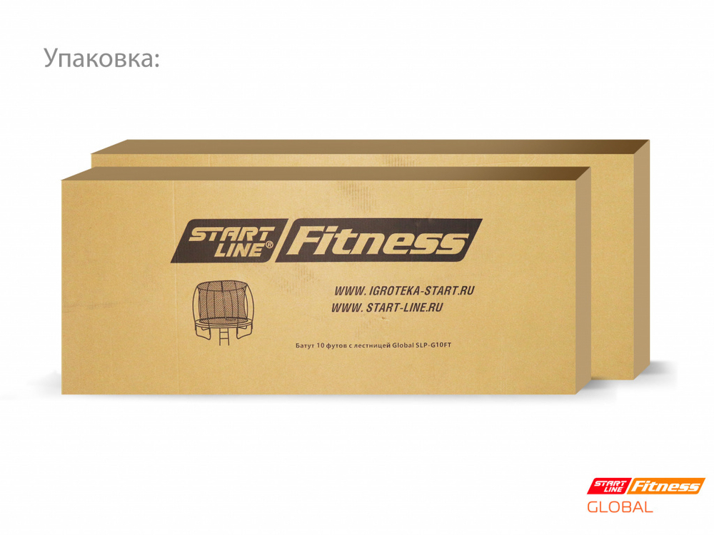 Батут 10 футов с лестницей Global