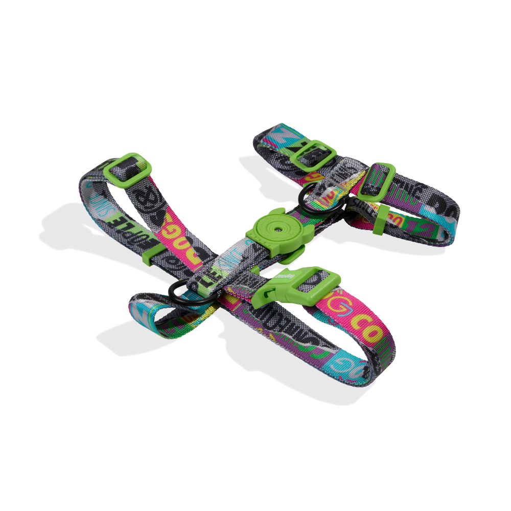 Шлейка LORDS OF ZEE.TOWN MANIFESTO Zee.Dog