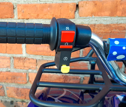 Квадроцикл MOWGLI X16