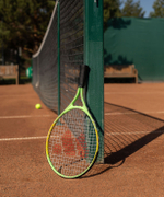 Ракетка для большого тенниса AlumTec JR 2900 19'', зеленый