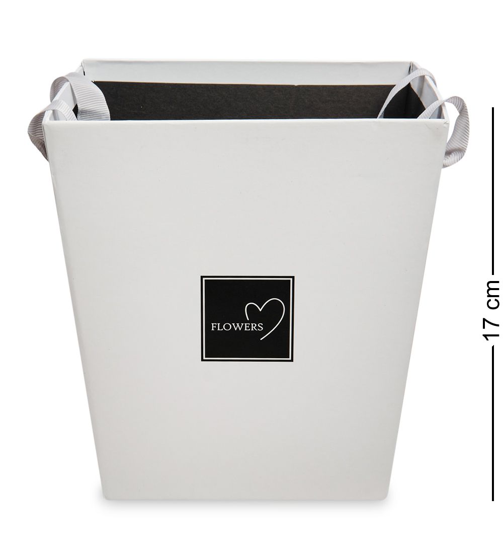 WG-25-E Коробка «Конус» цв.белый