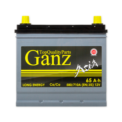 Аккумулятор GANZ ASIA 65 А/ч обратный R+ 232x175x225 D23 EN 580 А