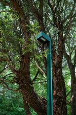 Фонарь SK00049