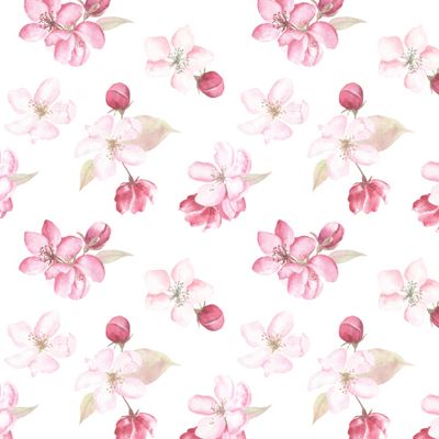 Яблоневый цвет на белом / Apple blossom on white