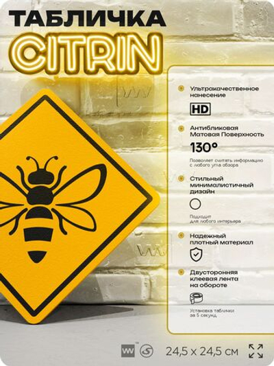 Табличка прикольная "Осторожно, пчелы" на дверь и стену, информационная и предупреждающая, декоративный знак, 24,5х24,5 см, пластиковая, Айдентика Технолоджи