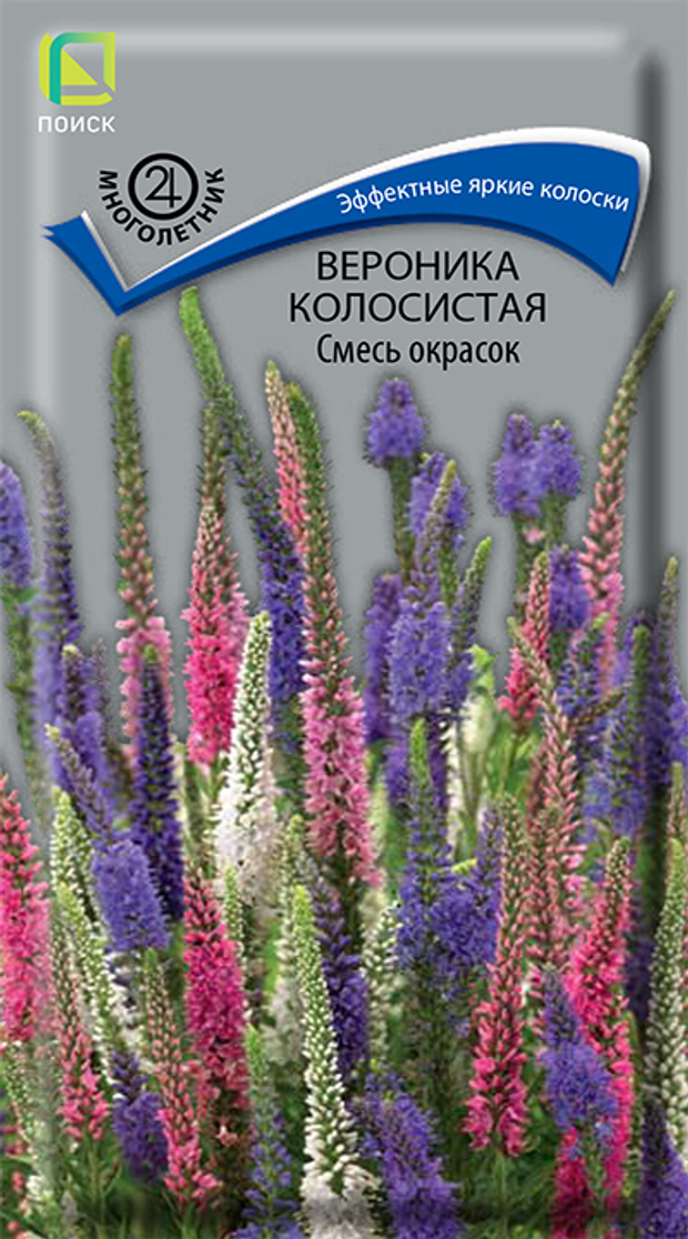 Вероника колосистая Смесь окрасок