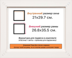Рама 21x29,7 для картин и фотографий RP0183515-07(9005)