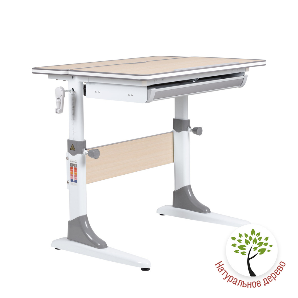 Растущая парта Anatomica Study-80 (800×600 мм)