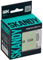 SKANDY Розетка USB A+A 3,1А SK-R15G мятный IEK