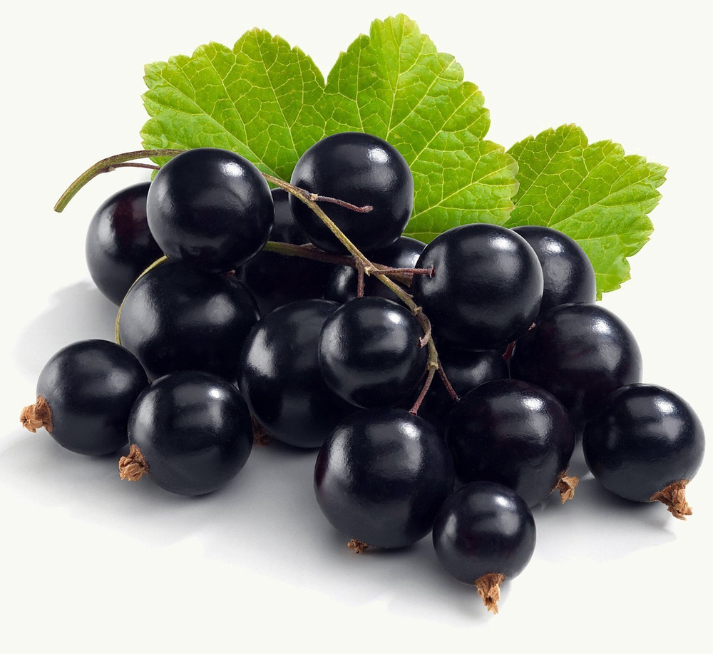 Пюре фруктовое Proff Puree в саше ЧЕРНАЯ СМОРОДИНА 250 гр. замороженное