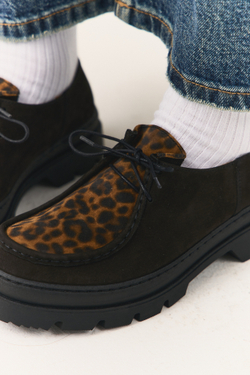 MocToe Brown Leo