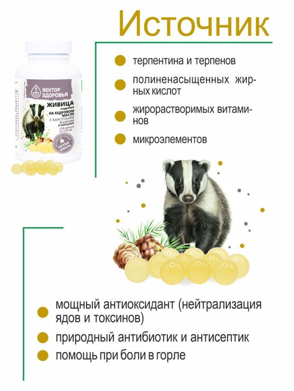 Живица кедровая на кедровом масле с барсучьим жиром 240 капсул
