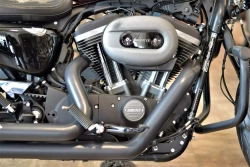 Harley-Davidson® Sportster® Roadster™ (XL1200CX) 2017