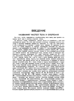 Полный определитель птиц СССР. Том 3. Трубконосые птицы, дневные хищные птицы. Совы. Дятловые птицы | С. А. Бутурлин