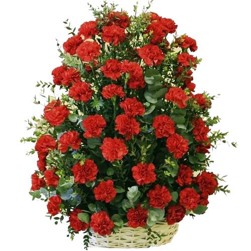 Большая корзина из живых цветов «100 гвоздик»