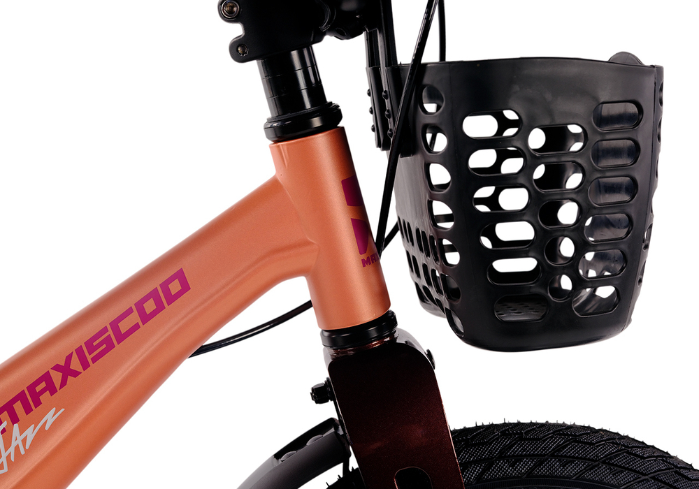 Maxiscoo JAZZ Pro 14'' (2025)