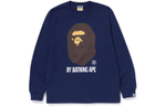 Толстовка A BATHING APE FW22 logo T, 1I80-111-012