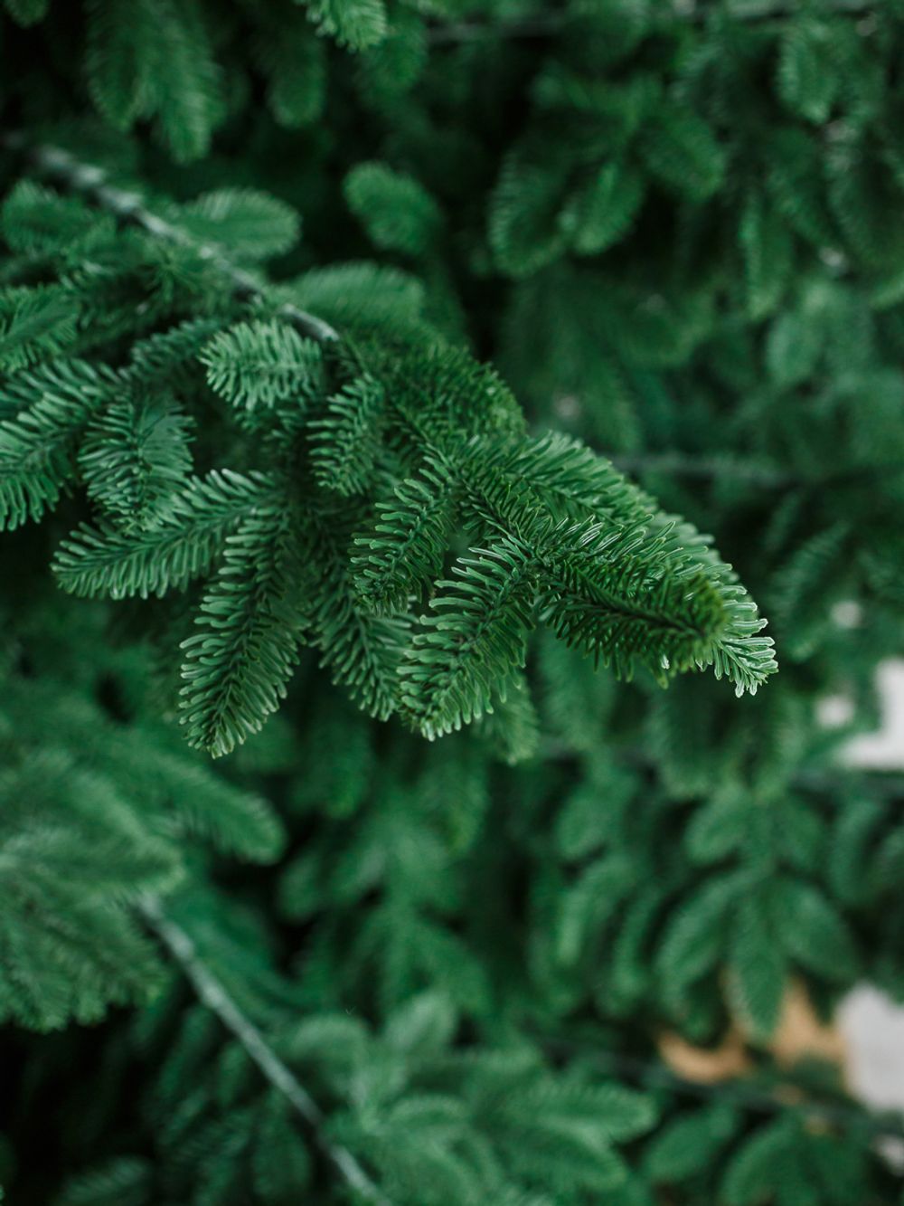 Большая елка «Норвежская» GT (Литая хвоя) от 2,7 м до 3,7 м