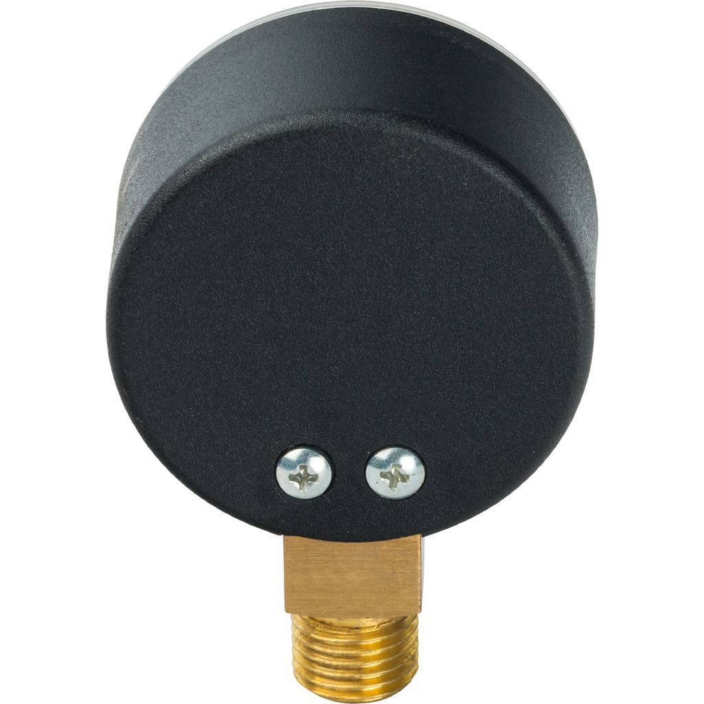 Манометр радиальный WATTS 16 бар 1/4" D50 (F+R200)