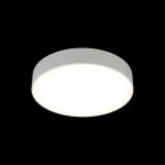 Потолочный светодиодный светильник Aployt Evon APL.0114.09.24