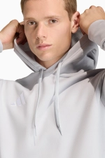 Кофта adidas Entrada 26 Sweat - серый