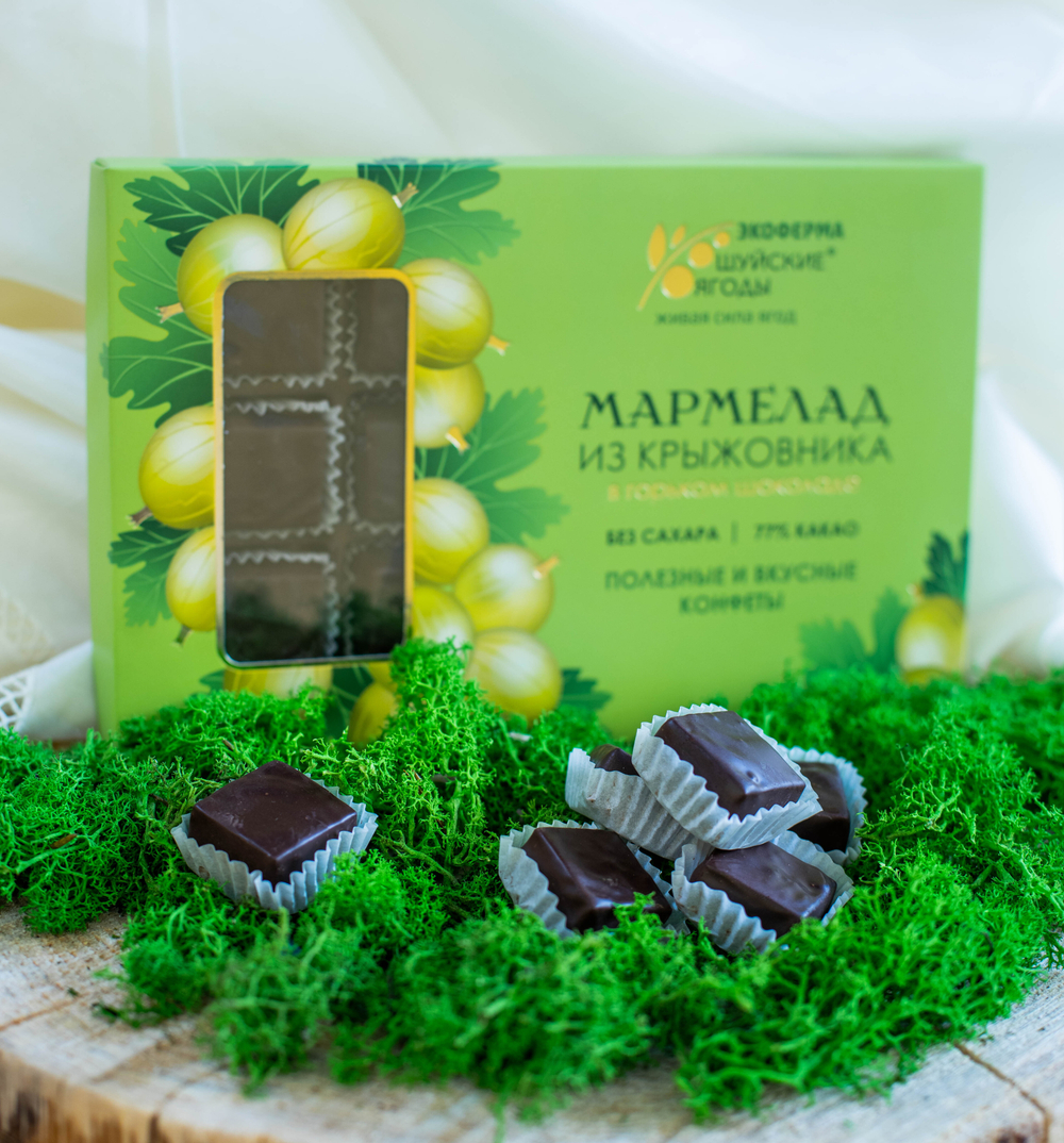 Мармелад из крыжовника в горьком шоколаде без сахара, 195 г