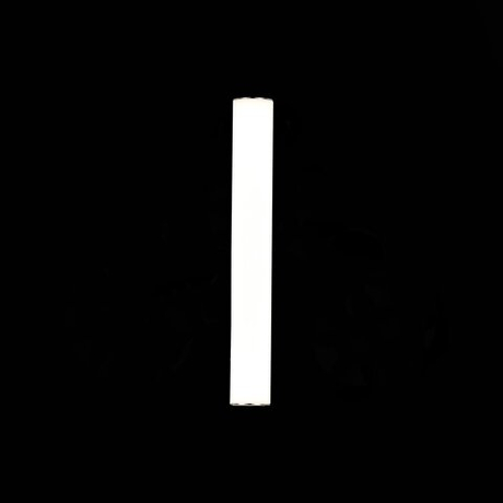 Светильник настенный ST Luce SL1599.101.01