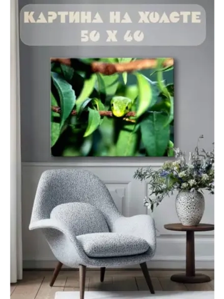 Картина на стену 40 X 50 Змея