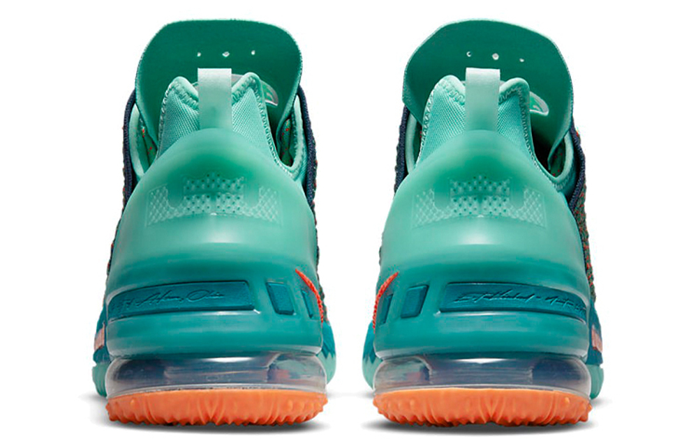 Кроссовки Nike Lebron 18 "We Are Family"