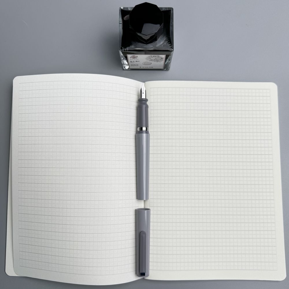 Ручка перьевая Sailor Tuzu серая F (11-0453-221) 7