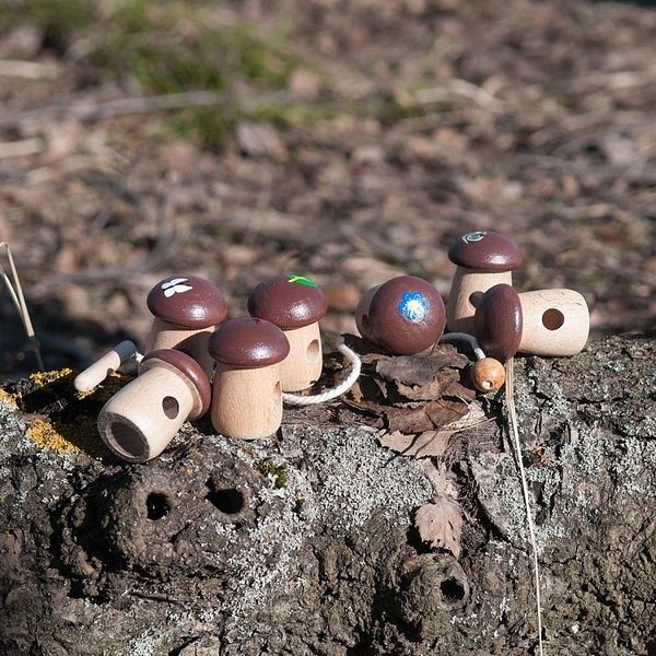 Игровые возможности с шнуровкой Боровички.