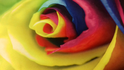 Микровелюр Xpoint (Икспоинт) 0049.01 Роза цветная купон