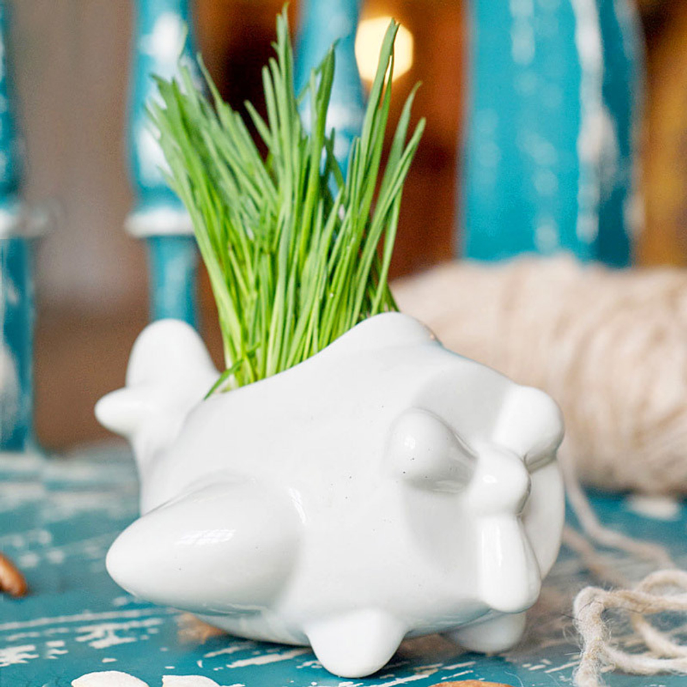 Набор для выращивания eco Самолет