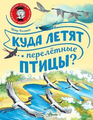 Куда летят перелётные птицы?