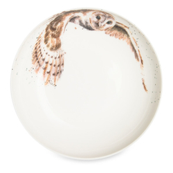 Тарелка для пасты 22см Royal Worcester Забавная фауна Сова