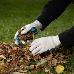 Перчатки х/б, ПВХ покрытие, "Шахматный облив", 5 пар в упаковке, 10 класс Россия