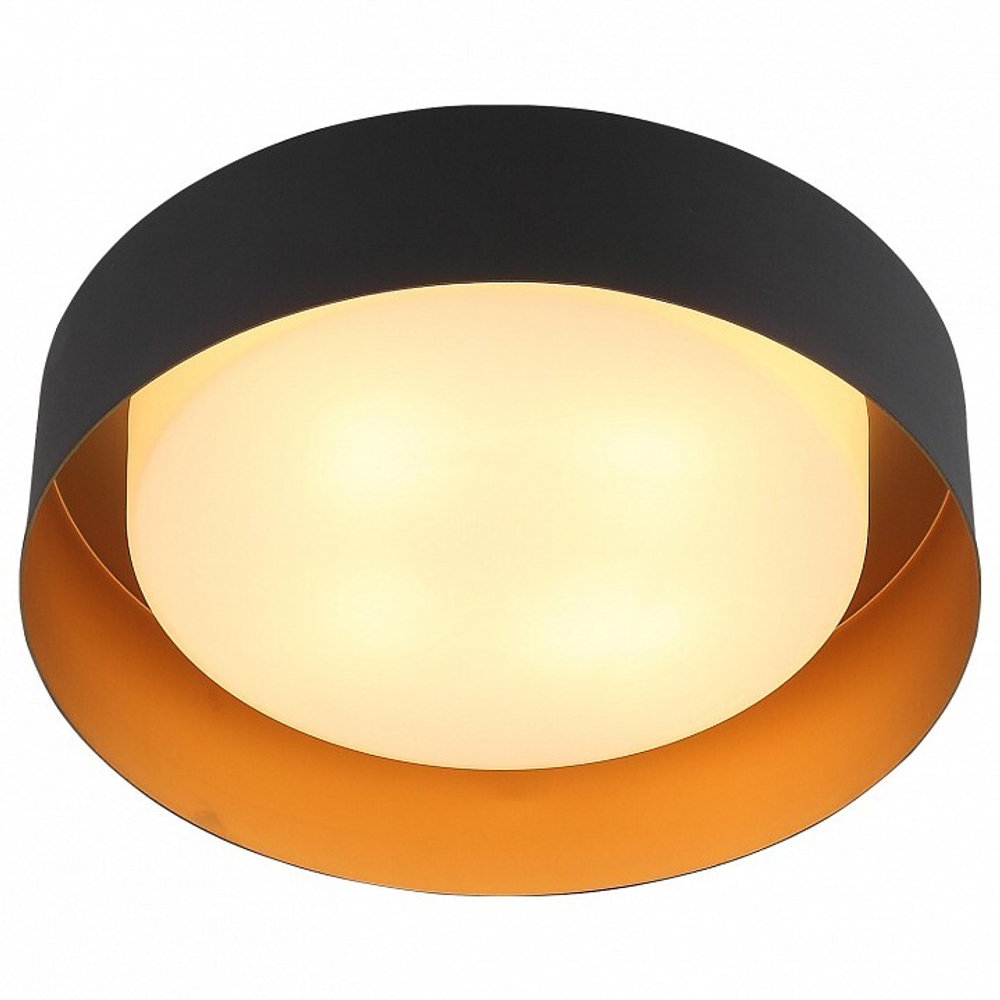 Накладной светильник ST-Luce SL392.422.04