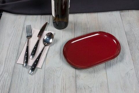 Блюдо для подачи Evolution 25*16*2,4 см, P.L. Proff Cuisine