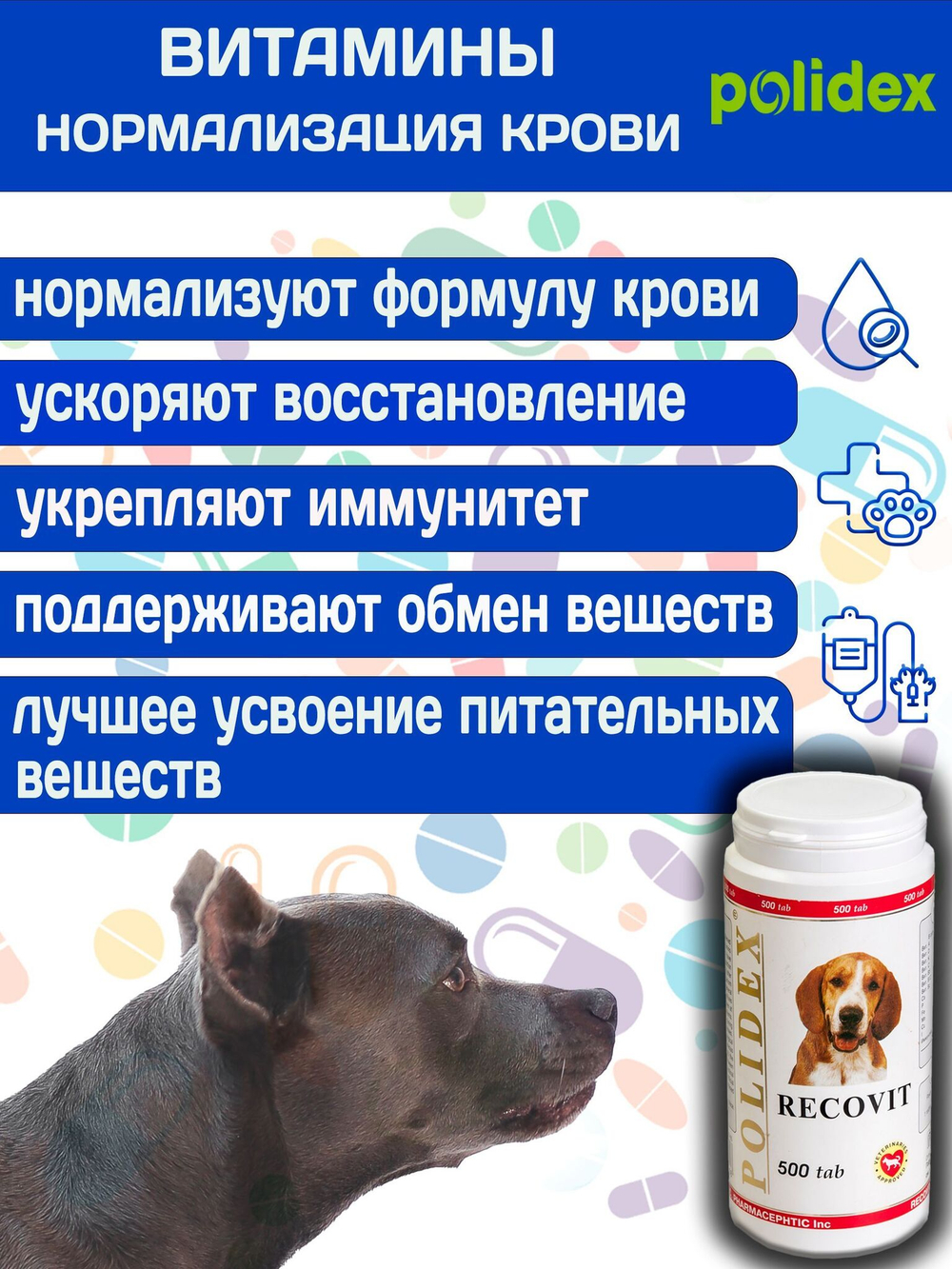 Polidex Recovit для собак, Кормовая добавка для восстановления организма после операций, травм, больших потерь крови, Полидекс Рековит, 150 таб