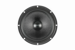 Двухполосная компонентная акустическая система PROLOGY SL-65 CS