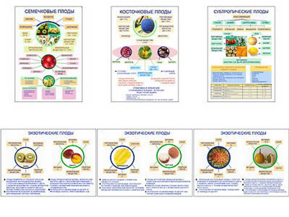 Плакаты ПРОФТЕХ &quot;Плоды&quot; (6 пл, винил, 70х100)