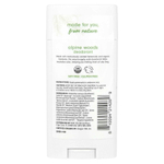 Dr. Mercola, Ola Botanicals®, дезодорант, альпийский лес, 75,13 г (2,65 унции)